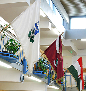 iskola zászló